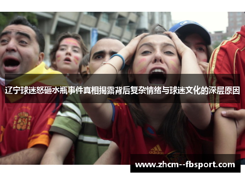辽宁球迷怒砸水瓶事件真相揭露背后复杂情绪与球迷文化的深层原因